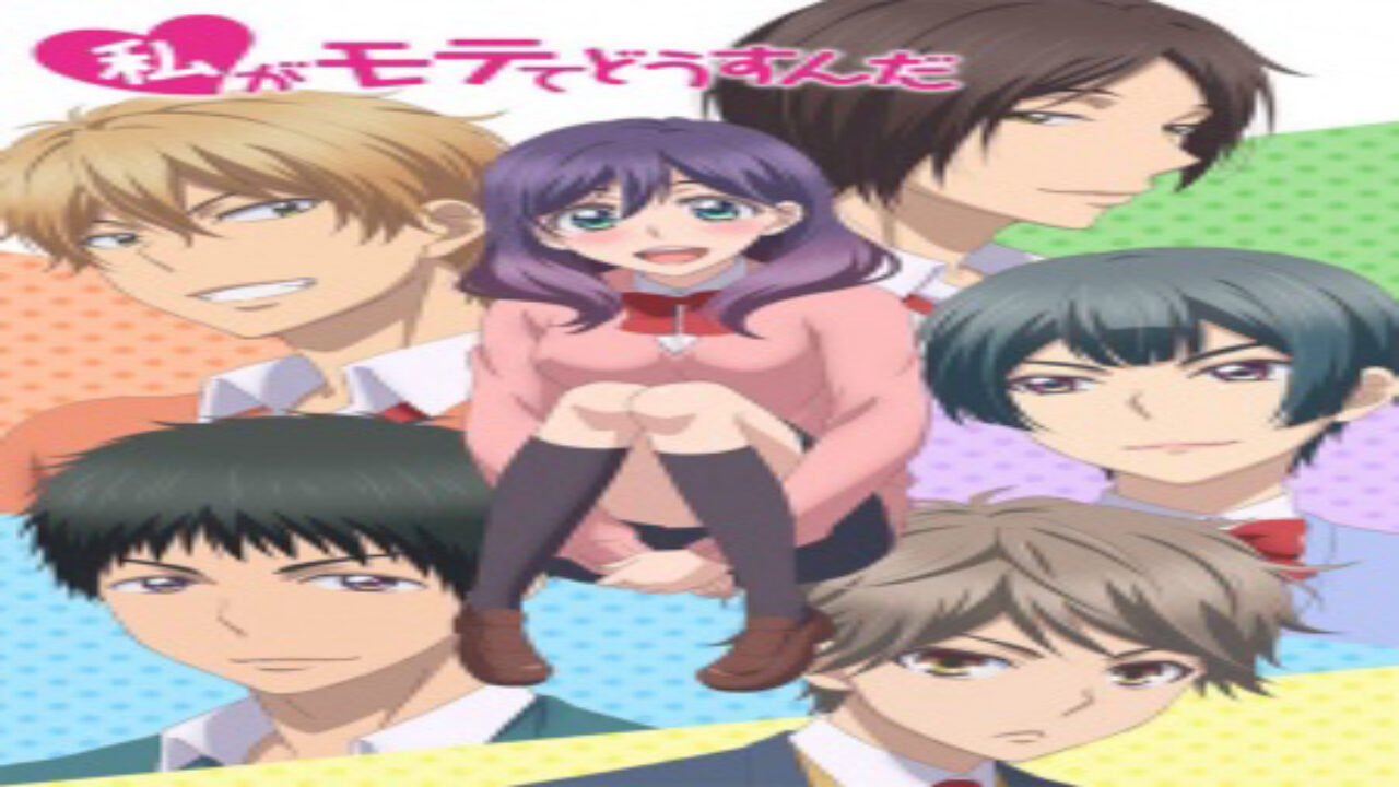 Poster of Watashi ga Motete Dousunda