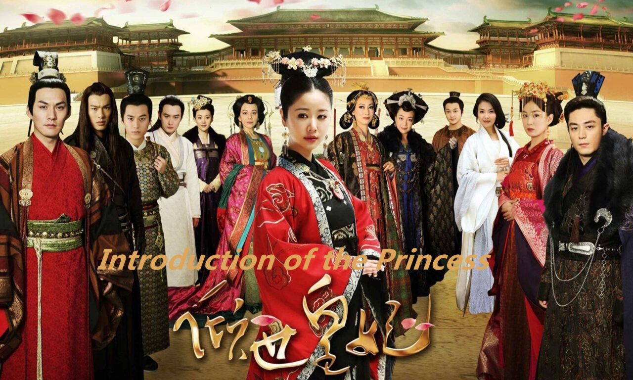 Xem phim Khuynh Thế Hoàng Phi  - Introduction of the Princess (2011)