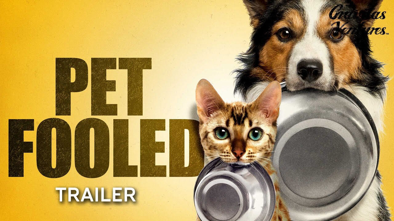 Xem phim Thú Cưng Đang Ăn Gì  - Pet Fooled (2016)