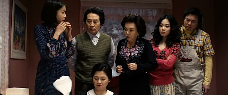 Xem phim Sui Gia Đại Chiến  - Meet the In Laws (2011)