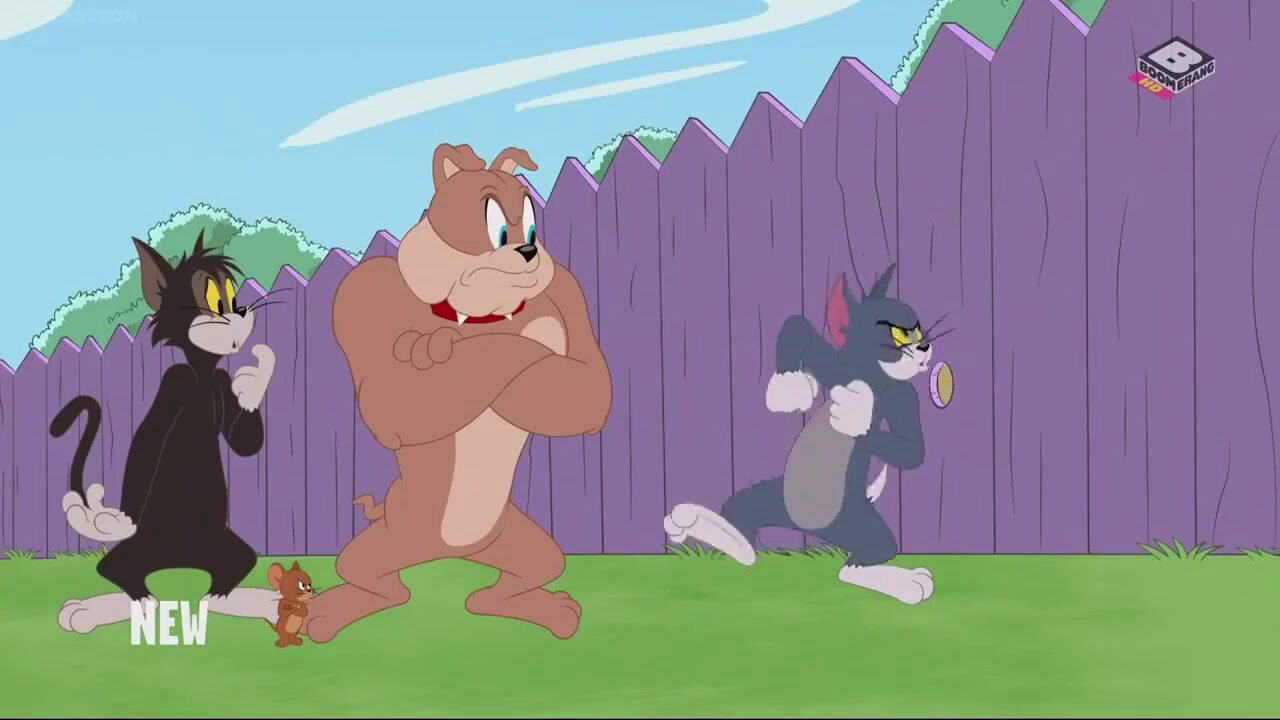 Xem phim The Tom and Jerry Show ( 3)  - The Tom and Jerry Show (Season 3) (2014)