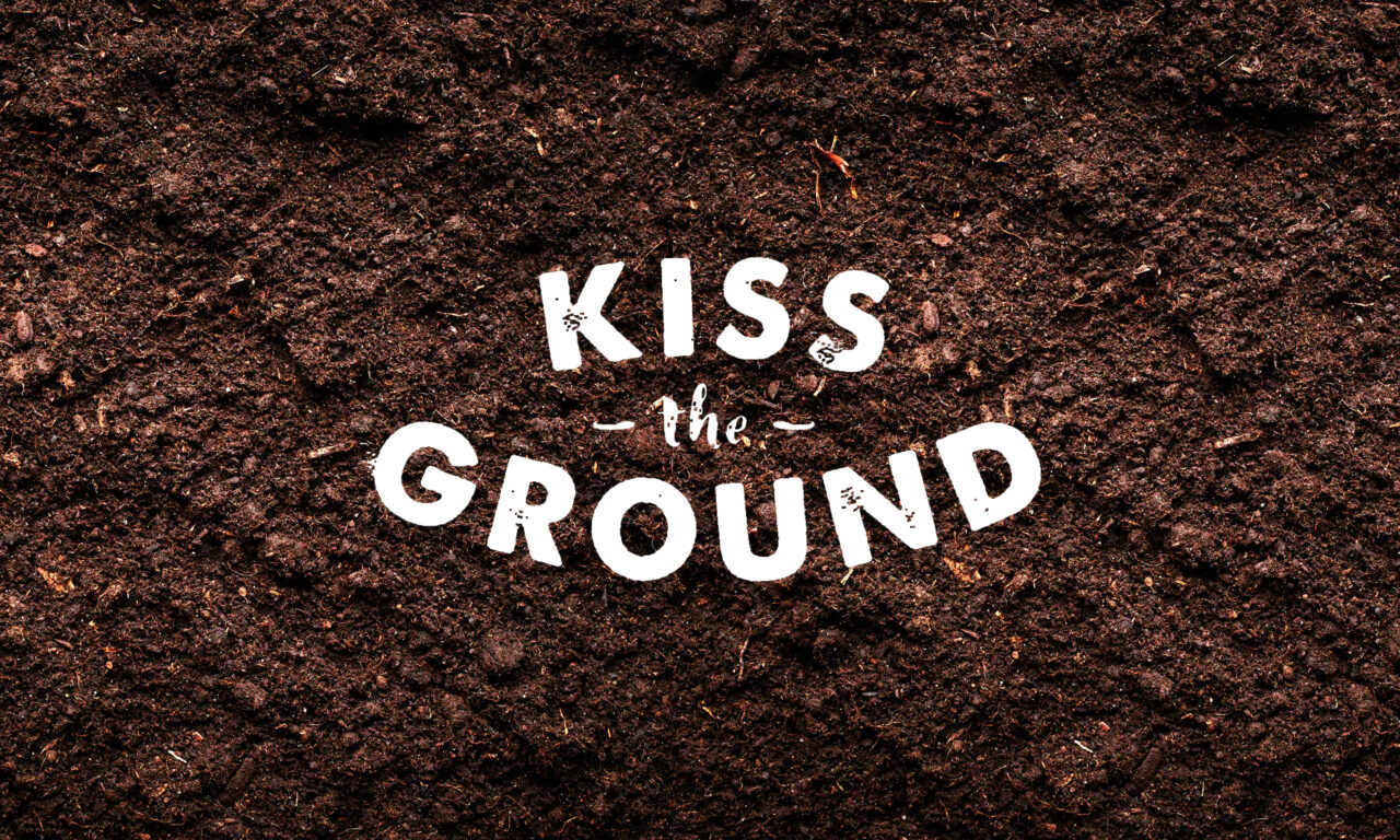 Xem phim Hôn lên mạch đất  - Kiss the Ground (2020)