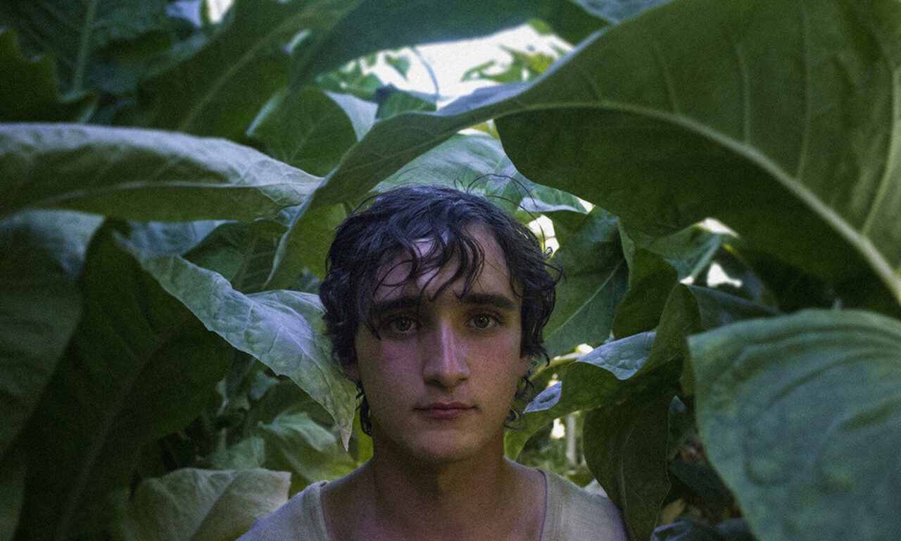 Xem phim Chuyến Du Hành Thời Gian Của Lazzaro  - Happy as Lazzaro (2018)