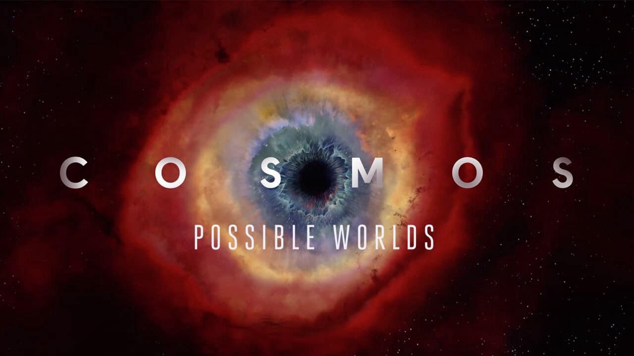 Poster of Cosmos Possible Worlds