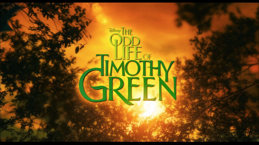 Poster of Mảnh Đời Kỳ Lạ Của Timothy Green