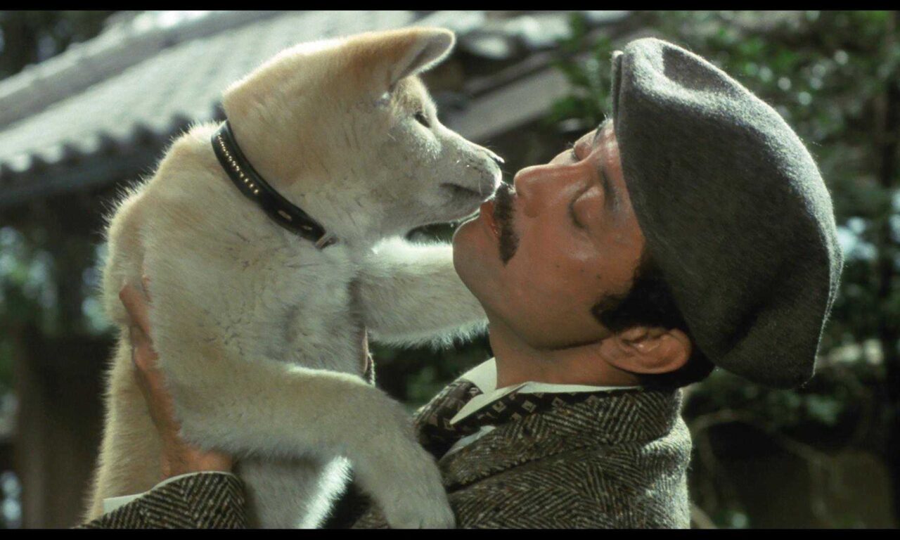 Xem phim Câu Chuyện Về Chú Chó Hachiko  - Hachi ko (1987)