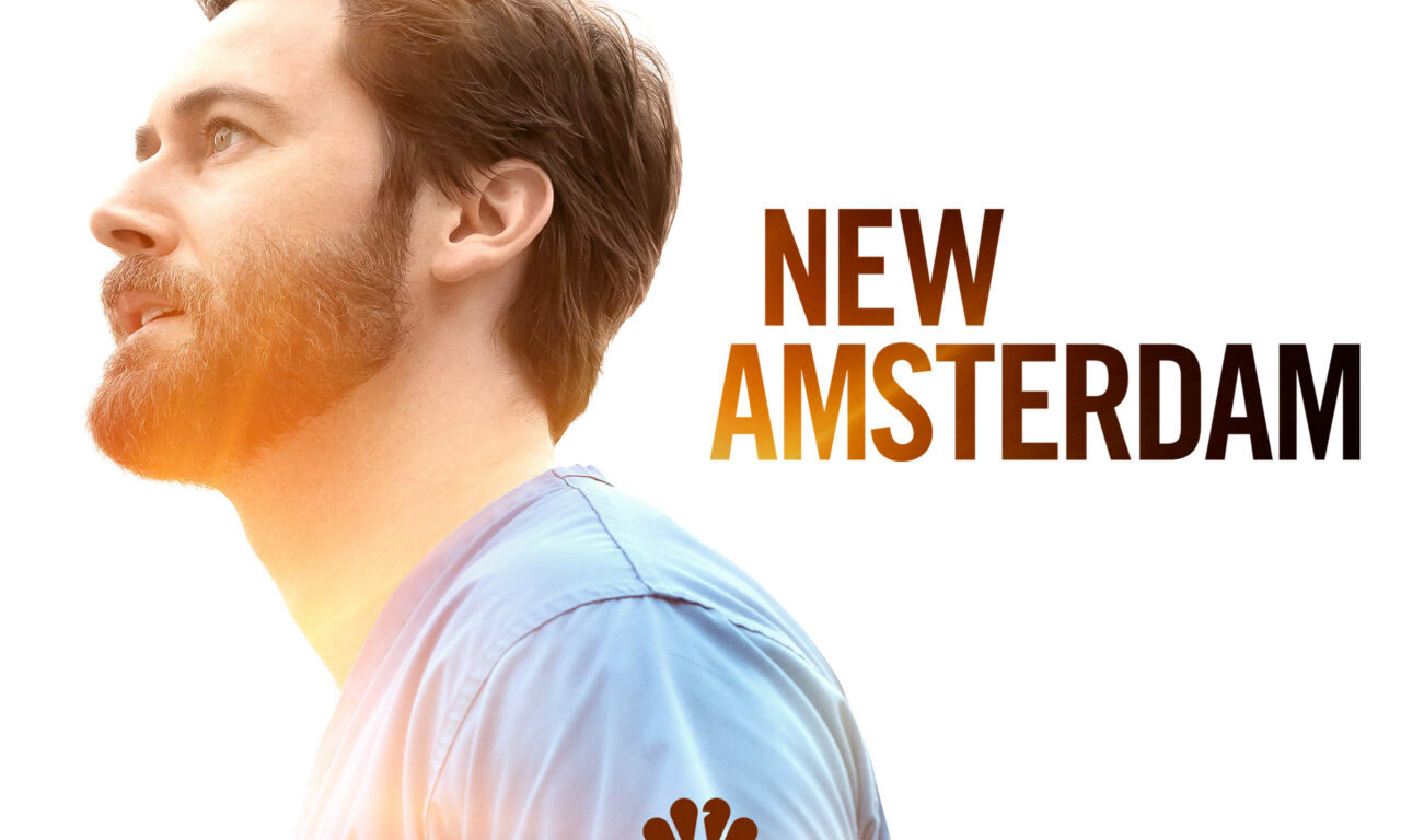 Poster of New Amsterdam ( 3)