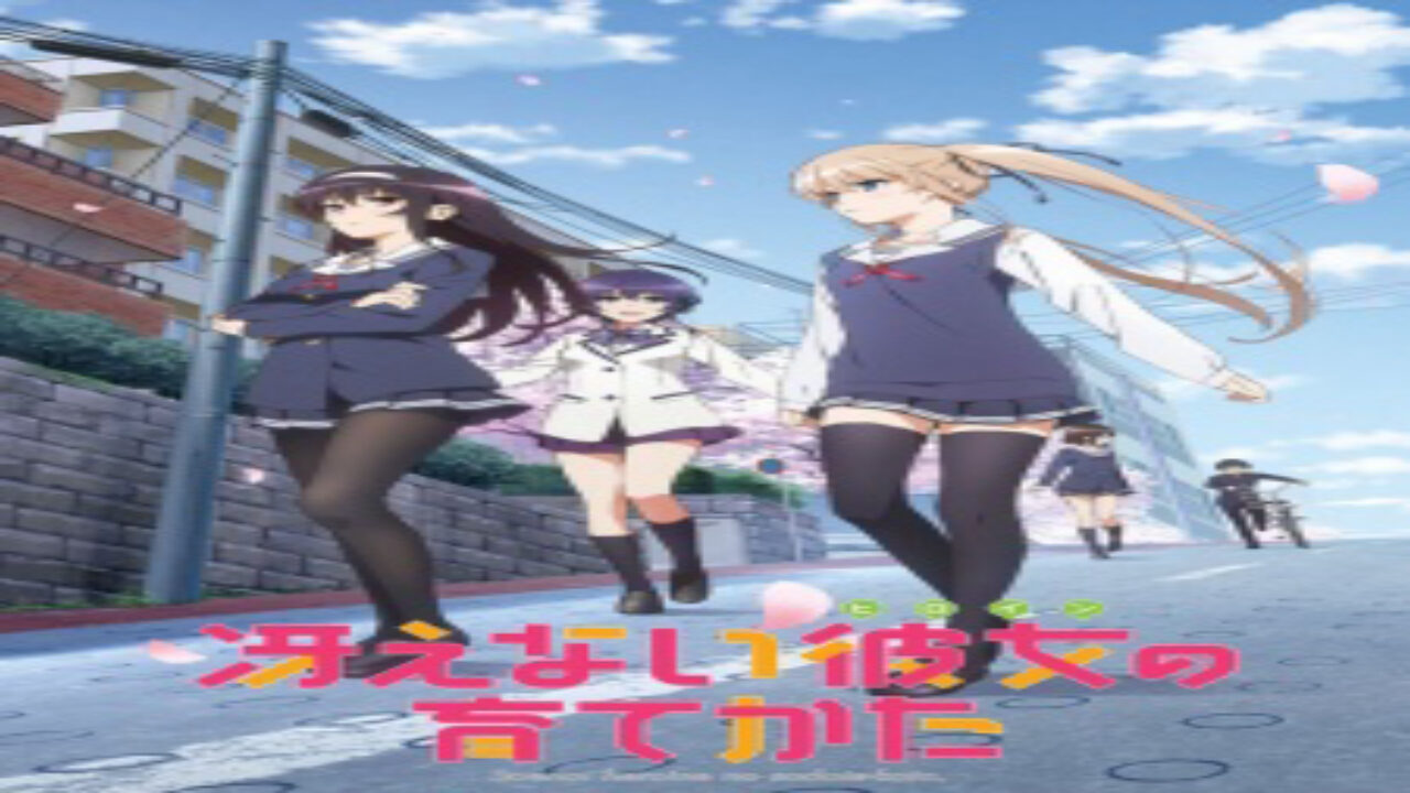 Poster of Saenai Heroine no Sodatekata