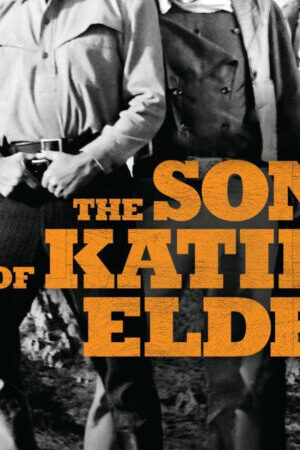 Xem phim The Sons of Katie Elder  - The Sons of Katie Elder (1965)