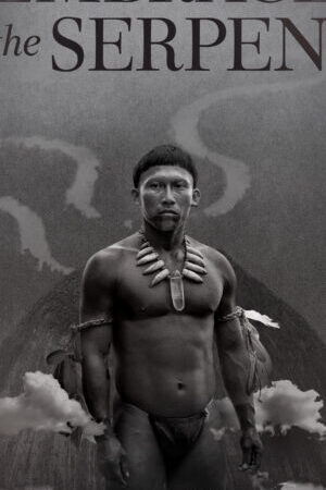 Xem tập full - Cái Ôm của Xà Nhân - Embrace of the Serpent (2015)-Embrace of the Serpent