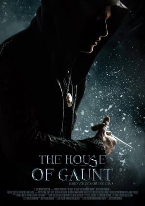 Xem tập full - Gia Tộc Gaunt Hồi Ký Của Chúa Tể Voldemort - The House Of Gaunt Lord Voldemort Origins (2021)-The House Of Gaunt Lord Voldemort Origins