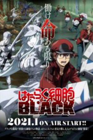 Xem phim Hataraku Saibou Black  - Cells at Work CODE BLACK (2021)