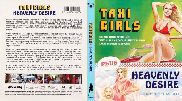 Poster of Taxi Girls