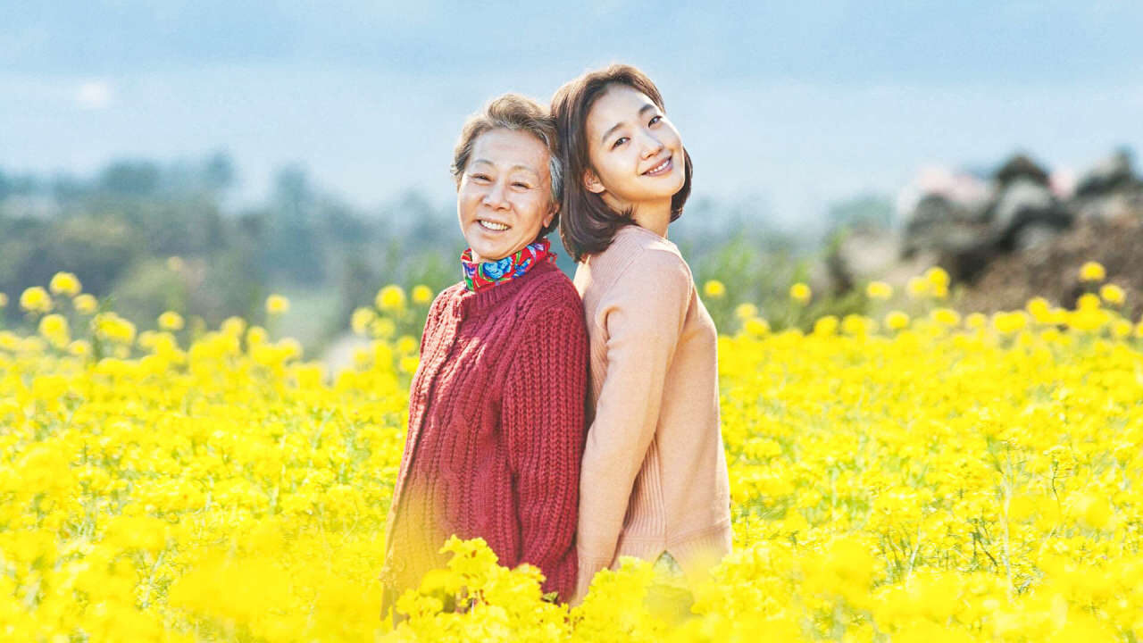 Xem phim Hoa Cải Vàng  - Canola (2016)