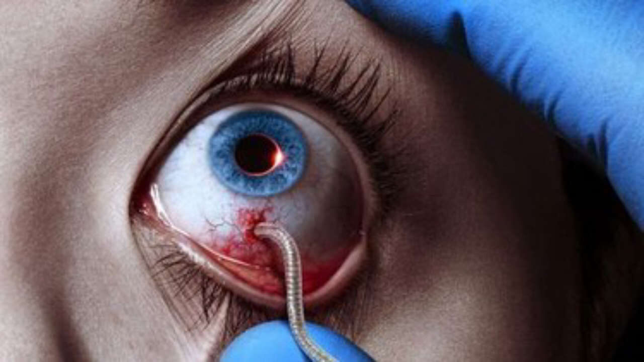 Xem phim Bệnh Dịch ( 1)  - The Strain (season 1) (2014)