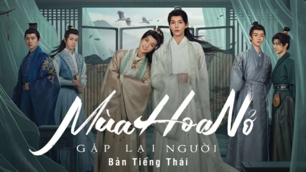 Xem phim Mùa Hoa Nở Gặp Lại Người (Bản Thái)  - Meet You At The Blossom (Thai Ver) (2024)